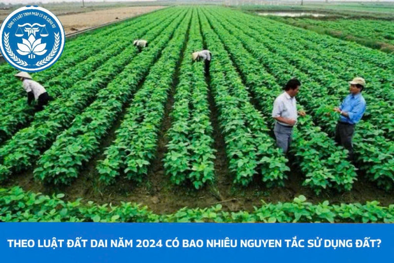 Theo Luật Đất đai năm 2024 có bao nhiêu nguyên tắc sử dụng đất?