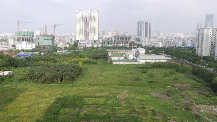 Đất không sử dụng bao nhiêu năm thì bị mất quyền sử dụng?